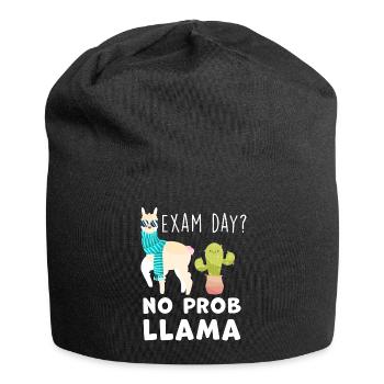 Schulprüfung Lehrer Witz Direktor Lustiges Lama - Jersey-Beanie - Schwarz - Vorne