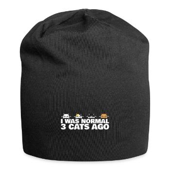 Ich war vor 3 Katzen normal - Katzenliebhaber - Jersey-Beanie - Schwarz - Vorne