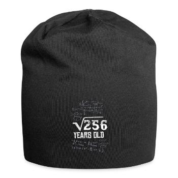 16.Geburtstag Geschenk 16 Jahre Mathe Formel - Jersey-Beanie - Schwarz - Vorne