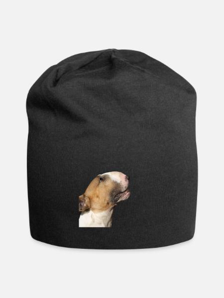 bull-terrier - Bonnet en jersey - noir