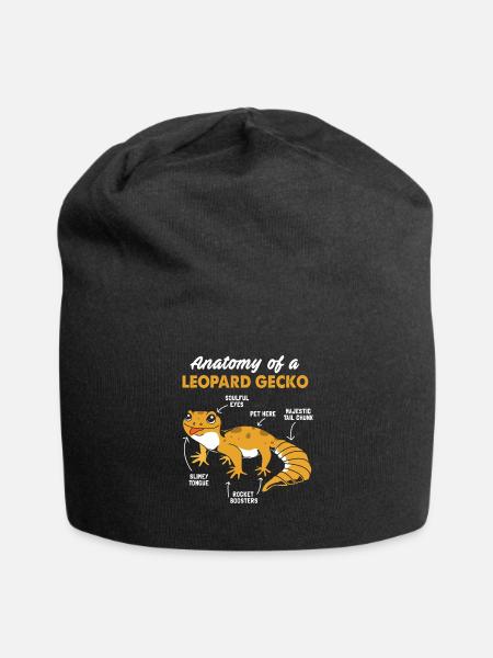Gecko Anatomie - Jersey-Beanie - Schwarz