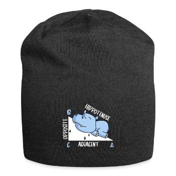 Hippotenuse Professeur de mathématiques Fun Math - Bonnet en jersey - charbon - Devant
