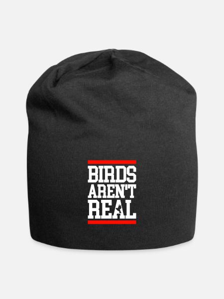 Birds aren't real Demonstration - Jersey Beanie - black