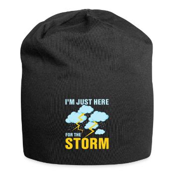 I'm Just Here For The Storm Meteorology Meteorolo - Jersey Beanie - black - Front