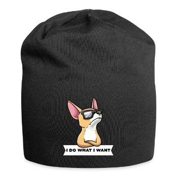Chiweenie chien avec des lunettes de soleil - Bonnet en jersey - noir - Devant