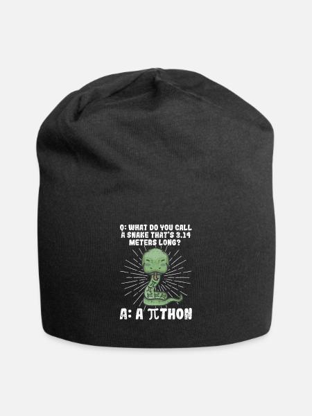 Python Schlange Pithon Pi Tag Symbol lustig Mathe - Jersey-Beanie - Schwarz