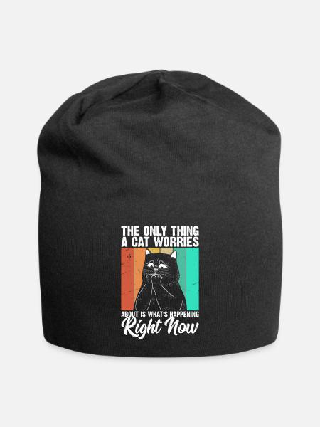 Das Einzige, Worüber Sich Eine Katze Sorgen Macht - Jersey-Beanie - Schwarz