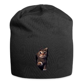 Cat Cute Kitten Cracked Cat Lovers Cats - Jersey Beanie - black - Front