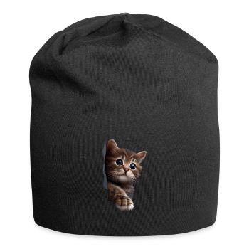 Cat Cute Kitten Cracked Cat Lovers Cats - Jersey Beanie - black - Front
