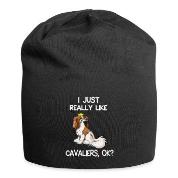 I Just Really Like Cavaliers - Jersey Beanie - black - Front