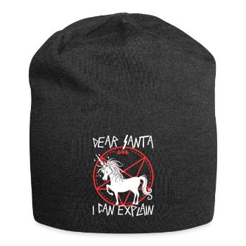 Dear santa i can explain - Jersey-Beanie - Anthrazit - Vorne