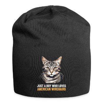 Cat Cats American Wirehair - Jersey Beanie - black - Front