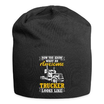 Now You Know What A Great Trucker Looks Like Tr - Jersey Beanie - black - Front