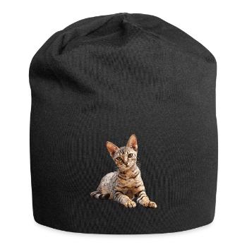 Egyptian Mau Kitten Cat Egyptian Mau - Jersey Beanie - black - Front