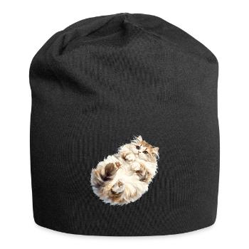 Ragamuffin Chaton Ragamuffin Chat - Bonnet en jersey - noir - Devant
