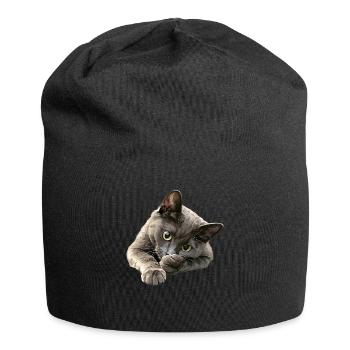 Chat bleu russe Russisch Blau Katze - Bonnet en jersey - noir - Devant