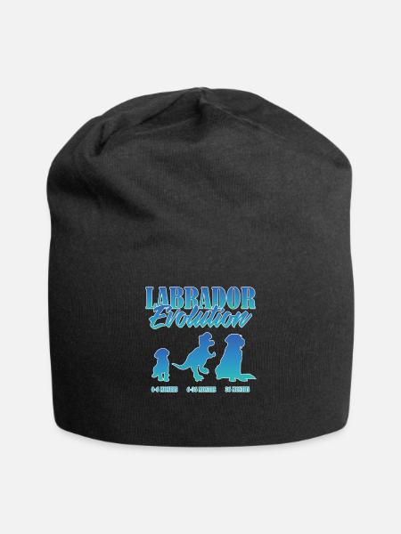 LABRADOR EVOLUTION Labrador Besitzer Lustiges - Jersey-Beanie - Schwarz