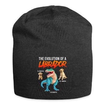 Labrador Fan THE EVOLUTION OF A LABRADOR Dino - Jersey Beanie - charcoal grey - Front