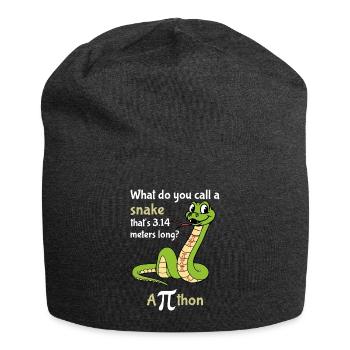 Comment appelle-t-on une balise Snake Pi - Bonnet en jersey - charbon - Devant
