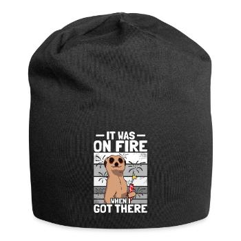 It was on fire: pyrotechnicians, firecrackers, fireworks - Jersey Beanie - black - Front