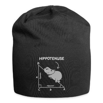 Math Teacher Student Engineer School - Jersey Beanie - black - Front