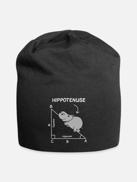 Mathematik Lehrer Student Ingenieur Schule - Jersey-Beanie - Schwarz