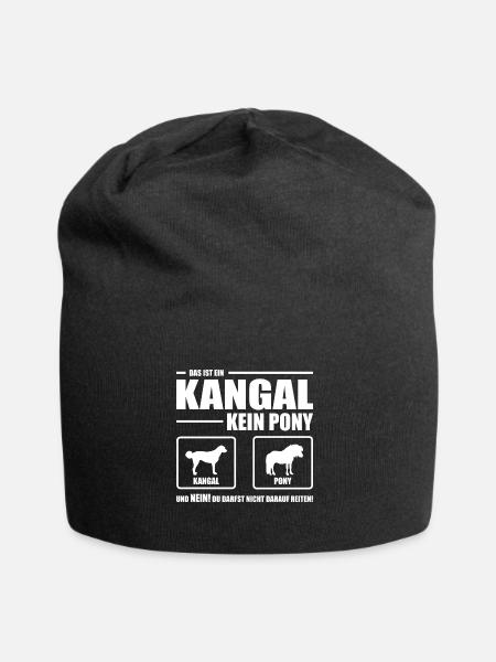 KANGAL kein Pony Hund Hunde Wilsigns Hundespruch - Jersey-Beanie - Schwarz