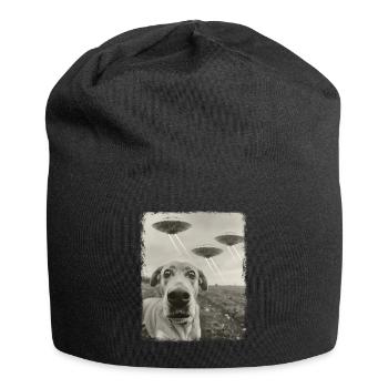 Labrador Dog UFO Alien Alien Selfie - Jersey Beanie - black - Front