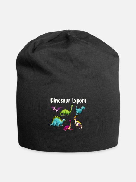 Dinosaurier Experte Dinosaurier Geschenk Kinder - Jersey-Beanie - Schwarz