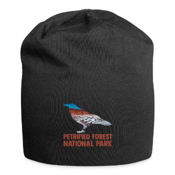 USA Amerika Nationalpark - Jersey-Beanie - Schwarz - Vorne