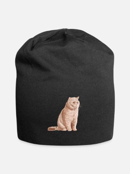 Chat British Shorthair de couleur crème - Bonnet en jersey - noir