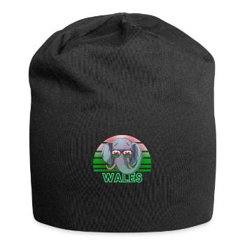 Wales - Jersey-Beanie - Schwarz - Vorne