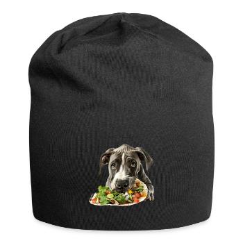 Great Dane - Jersey-Beanie - Schwarz - Vorne