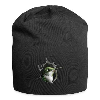 Kolibri - Jersey-Beanie - Schwarz - Vorne