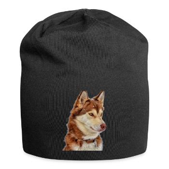 Husky Brown Snow - Jersey Beanie - black - Front