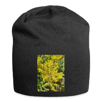 goldmoss stonecrop aussi mossy stonecrop Sedum acre - Bonnet en jersey - noir - Devant