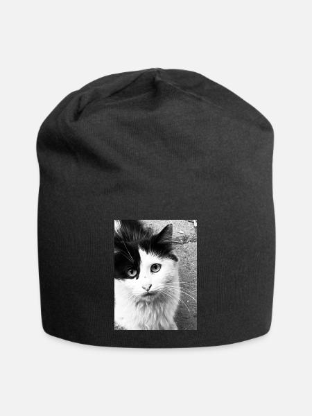 Katzen - Jersey-Beanie - Schwarz
