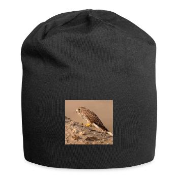 Eagle in desert - Jersey Beanie - black - Front