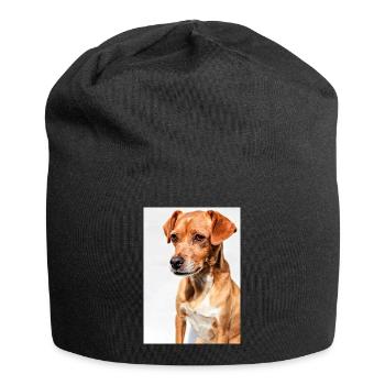 Hunde Portrait Weiß - Jersey-Beanie - Schwarz - Vorne