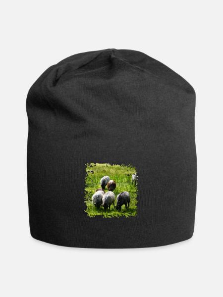 Heidschnucken sind eine alte Landschafrasse - Jersey-Beanie - Schwarz