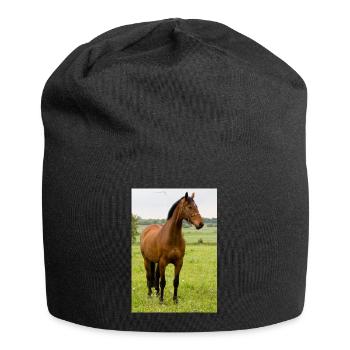 Cheval. Cheval. - Bonnet en jersey - noir - Devant