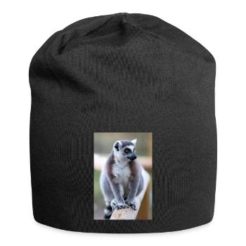 Lémurien à queue annelée (en allemand Katta) Lémurien catta - Bonnet en jersey - noir - Devant