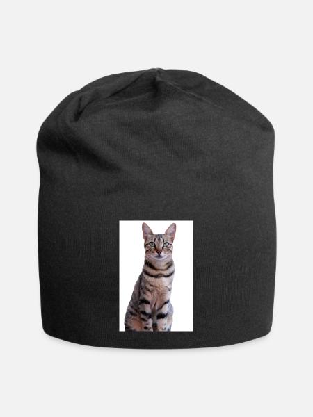 Katze Kätzchen - Jersey-Beanie - Schwarz