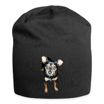 Zwergpinscher Hund - Jersey-Beanie - Schwarz - Vorne