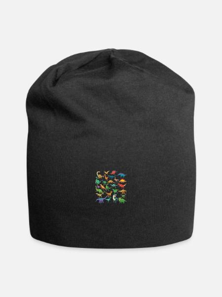 Dinosaurier-Arten Grafiken Dino T-Rex Jungen Dinos - Jersey-Beanie - Schwarz