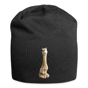 Alpaka - Jersey-Beanie - Schwarz - Vorne