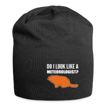 Look like meteorologist Sarcastic Person Gesch - Jersey Beanie - black - Front