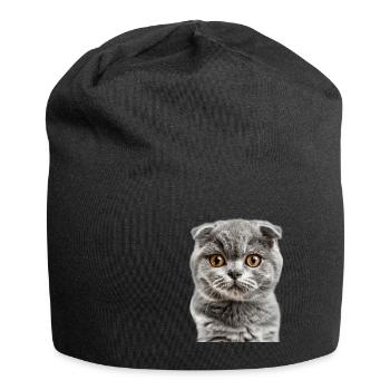 Schottische Faltohrkatze - Jersey-Beanie - Schwarz - Vorne