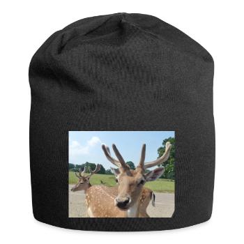 Close up of a Deer - Jersey Beanie - black - Front
