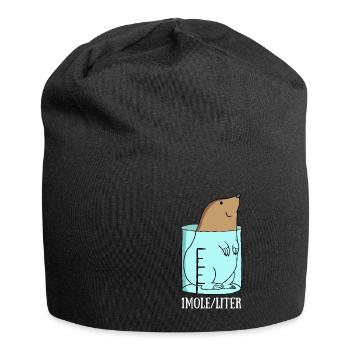 Chemie - Jersey-Beanie - Schwarz - Vorne